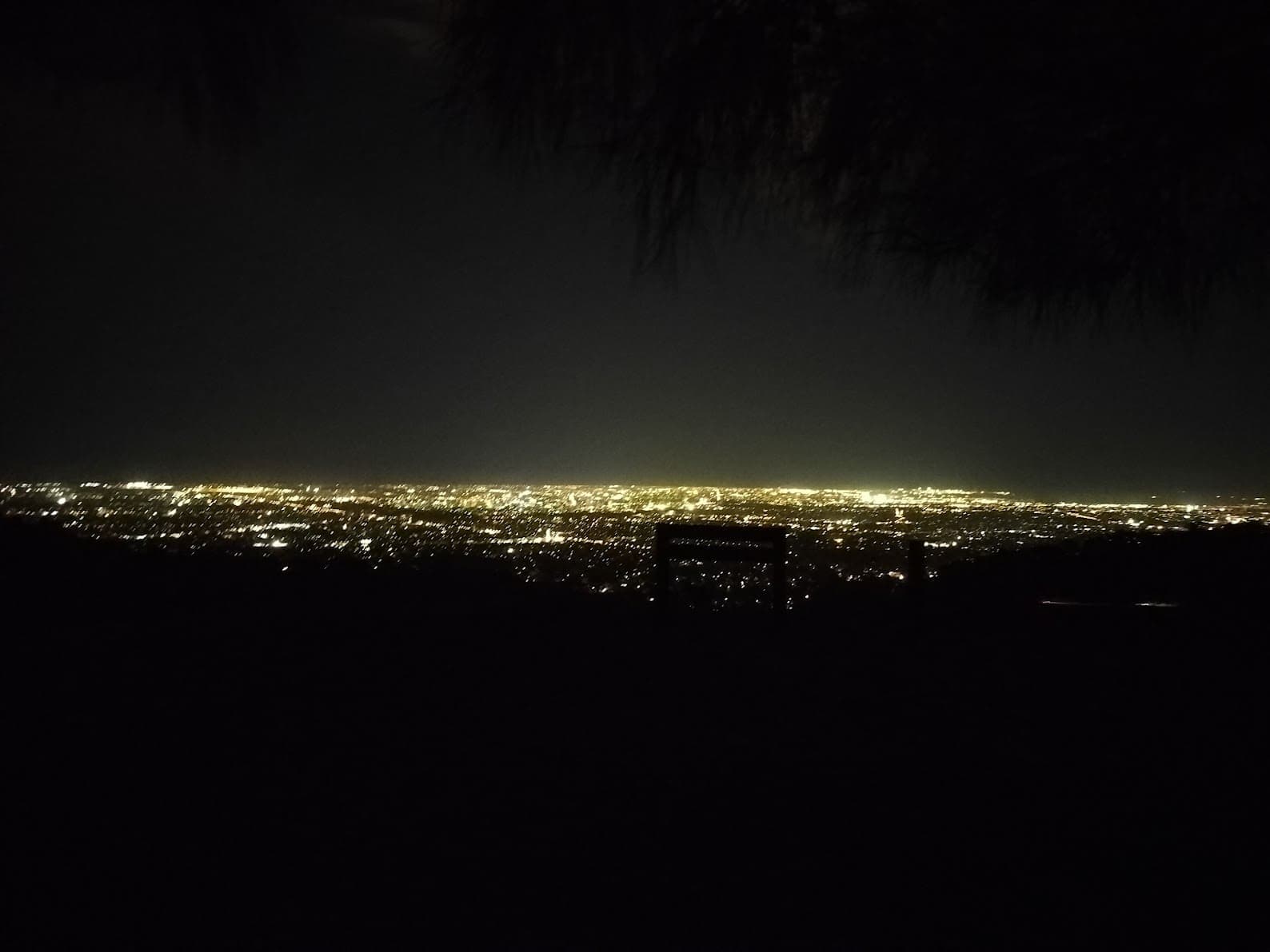 Home Page Picture